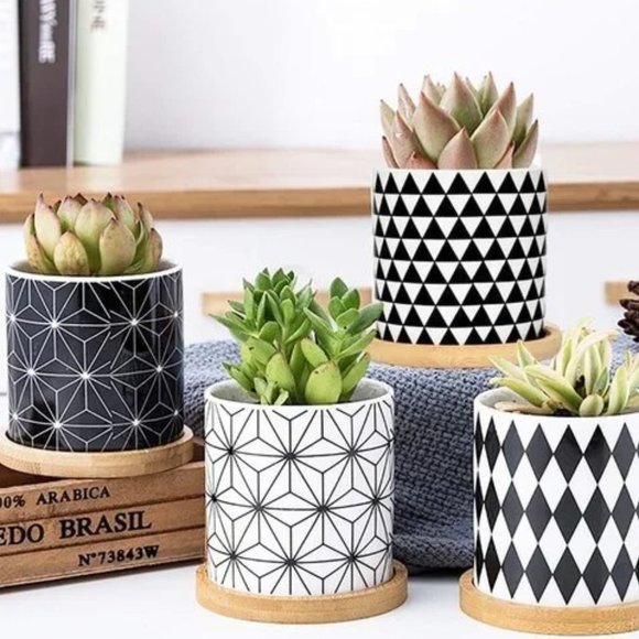 3 Inch Geometric Succulent Planter Pots with Drainage and Bamboo Tray - Picture 9 of 14